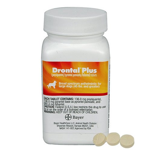 Drontal for Dog Supplies